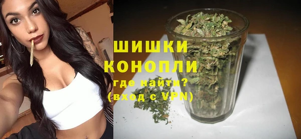 PSILOCYBIN Балахна