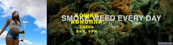 сатива Баксан