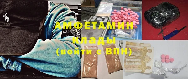 сатива Баксан
